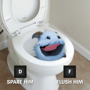 Meet your Posher, Evelyn